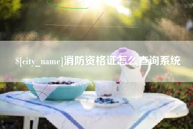 济源消防资格证怎么查询系统