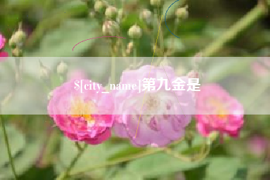济源第九金是