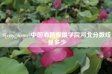 济源中国消防救援学院河北分数线是多少