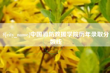 济源中国消防救援学院历年录取分数线