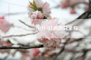 济源11月9日消防日全称