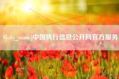 济源中国执行信息公开网官方服务
