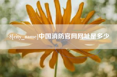 济源中国消防官网网址是多少