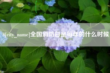 济源全国消防日是每年的什么时候