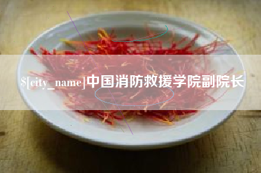 济源中国消防救援学院副院长