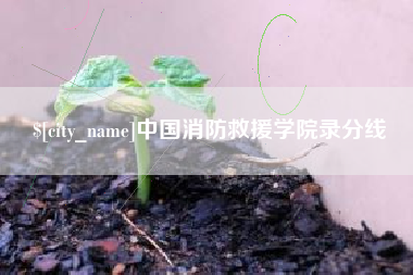 济源中国消防救援学院录分线
