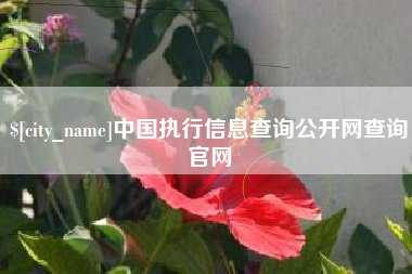 济源中国执行信息查询公开网查询官网
