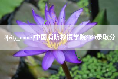 济源中国消防救援学院2020录取分