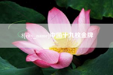 济源中国十九枚金牌