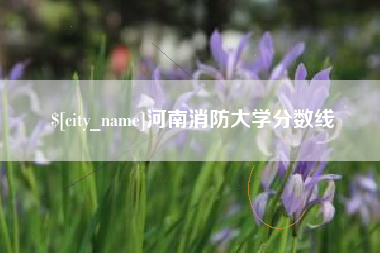 济源河南消防大学分数线