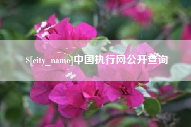 济源中国执行网公开查询