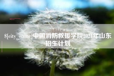 济源中国消防救援学院2021年山东招生计划