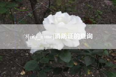 济源消防证的查询