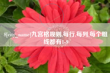 济源九宫格规则,每行,每列,每个粗线都有1-9