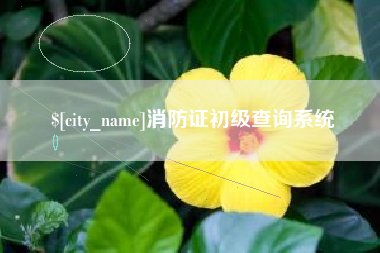 济源消防证初级查询系统