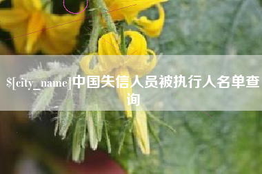 济源中国失信人员被执行人名单查询