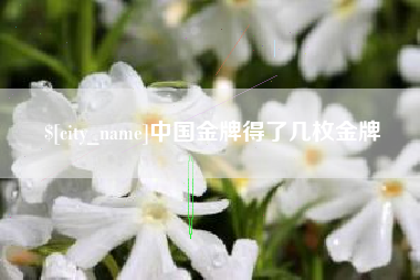 济源中国金牌得了几枚金牌