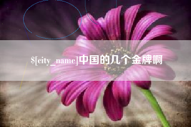 济源中国的几个金牌啊