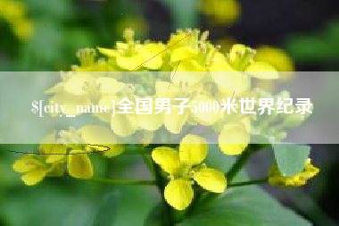 济源全国男子5000米世界纪录