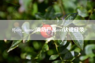 济源消防产品cccf认证目录