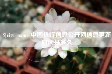 济源中国执行信息公开网信息更新时间是多久
