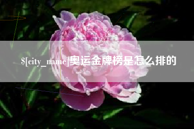 济源奥运金牌榜是怎么排的