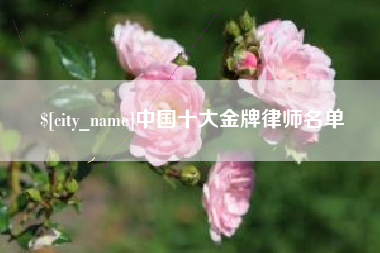 济源中国十大金牌律师名单