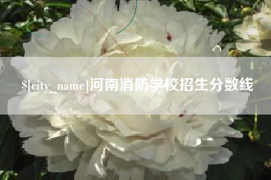 济源河南消防学校招生分数线