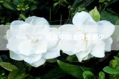 济源现在中国金牌是多少