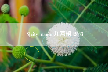 济源九宫格42633