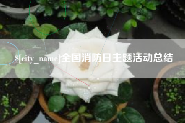 济源全国消防日主题活动总结