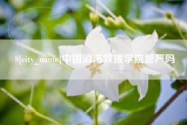 济源中国消防救援学院管严吗