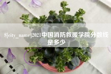 济源2021中国消防救援学院分数线是多少