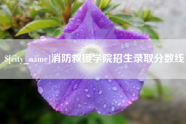 济源消防救援学院招生录取分数线