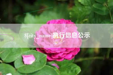 济源执行信息公示