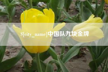 济源中国队九块金牌