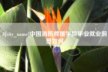 济源中国消防救援学院毕业就业前景如何