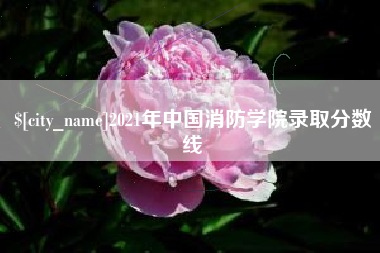 济源2021年中国消防学院录取分数线
