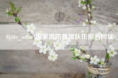 济源国家消防救援队伍报名网址