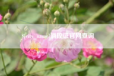 济源消控证官网查询