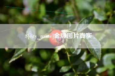 济源金牌图片真实