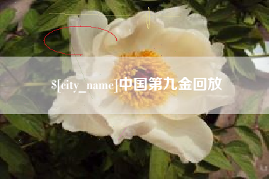 济源中国第九金回放