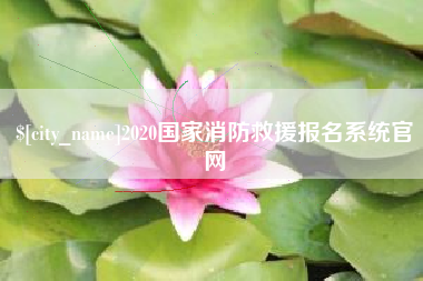 济源2020国家消防救援报名系统官网