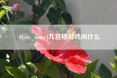 济源九宫格游戏叫什么