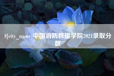 济源中国消防救援学院2021录取分数