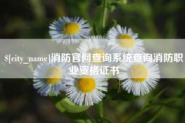 济源消防官网查询系统查询消防职业资格证书