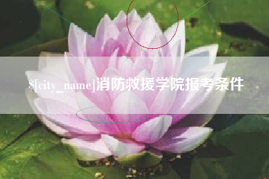 济源消防救援学院报考条件