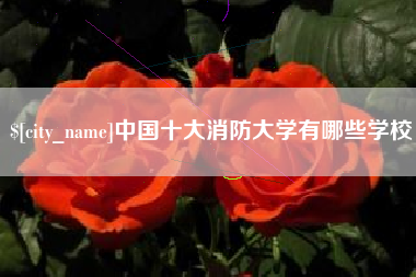 济源中国十大消防大学有哪些学校