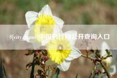 济源中国执行网公开查询入口