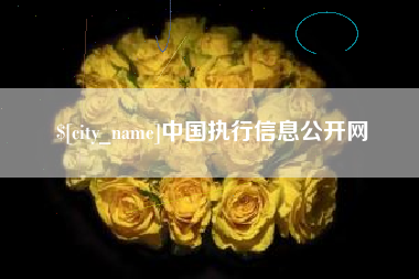 济源中国执行信息公开网